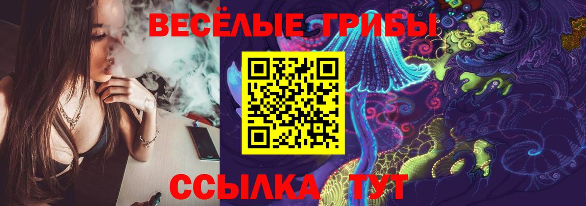 Галлюциногенные грибы Cubensis Топки